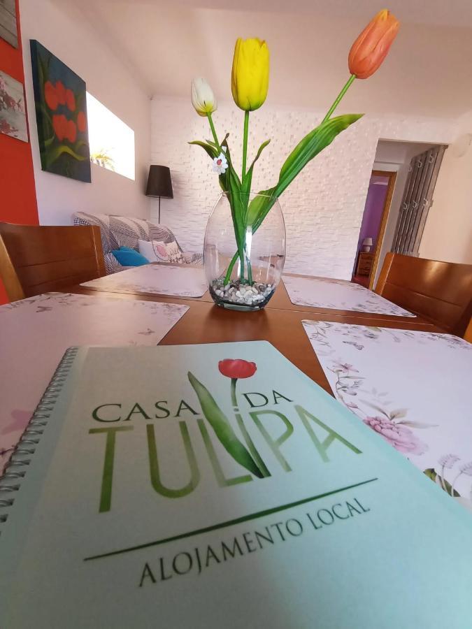 Casa Da Tulipa Apartment Cabo Branco ภายนอก รูปภาพ